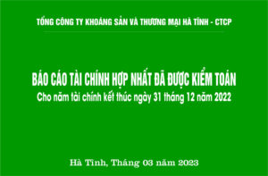 Báo cáo tài chính hợp nhất đã được kiểm toán cho năm tài chính kết thúc ngày 31 tháng 12 năm 2022