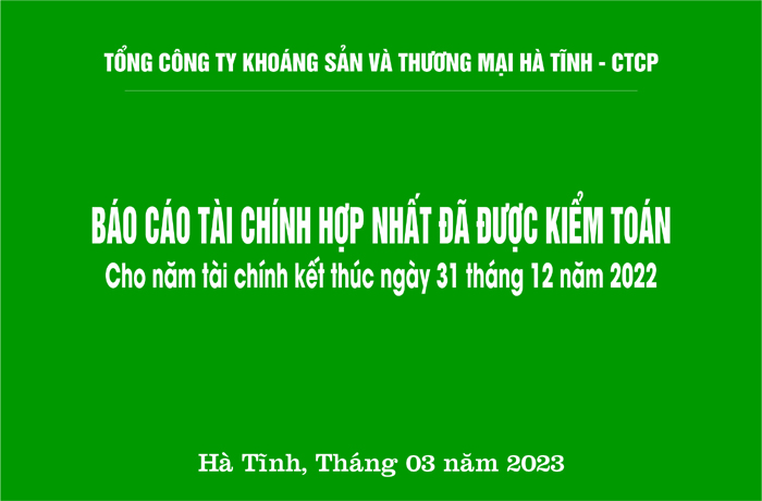 Báo cáo tài chính hợp nhất đã được kiểm toán cho năm tài chính kết thúc ngày 31 tháng 12 năm 2022