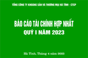 Báo cáo tài chính hợp nhất quý 1 năm 2023