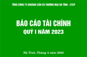 Báo cáo tài chính quý 1 năm 2023